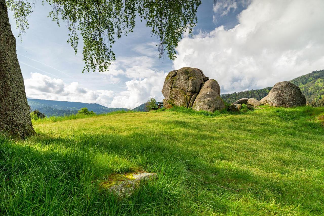 Appartamento Bergblick Forbach Esterno foto